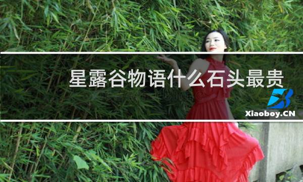 星露谷物语什么石头最贵