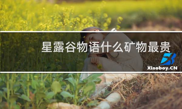 星露谷物语什么矿物最贵