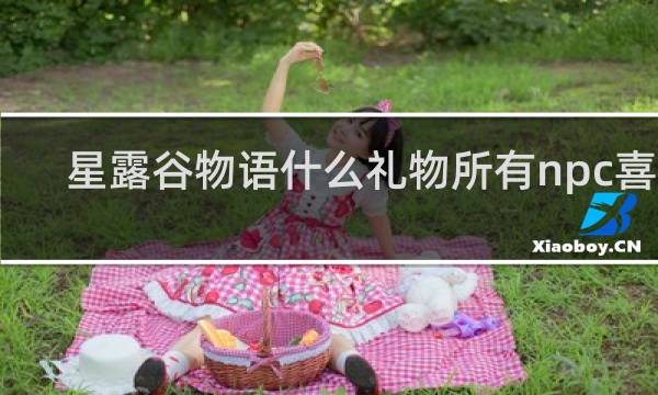 星露谷物语什么礼物所有npc喜欢