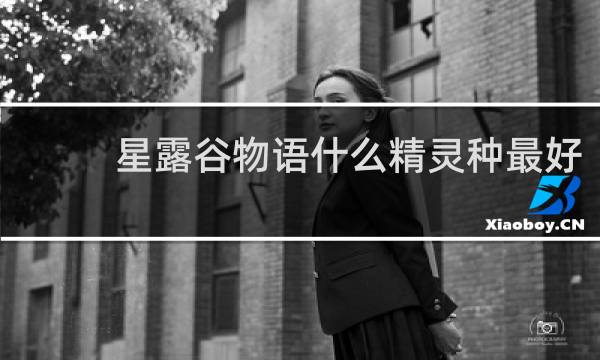 星露谷物语什么精灵种最好