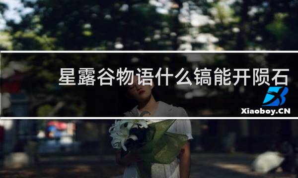 星露谷物语什么镐能开陨石