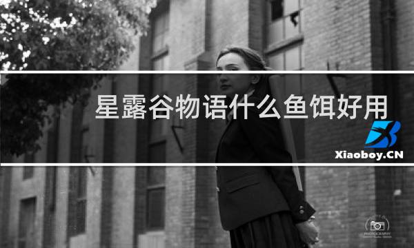 星露谷物语什么鱼饵好用