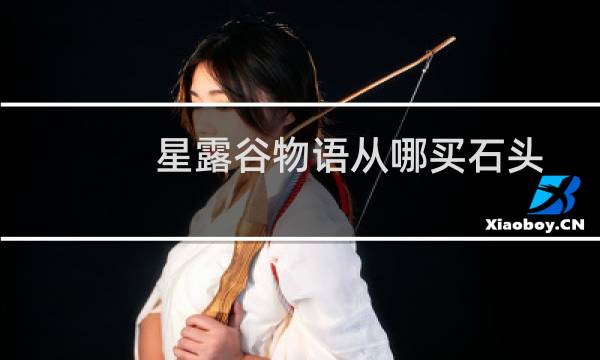 星露谷物语从哪买石头
