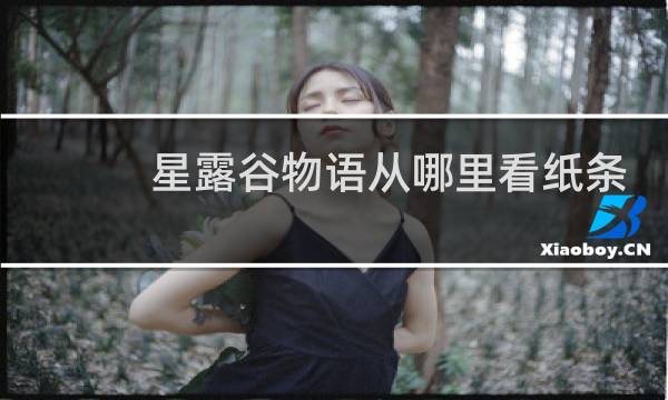 星露谷物语从哪里看纸条