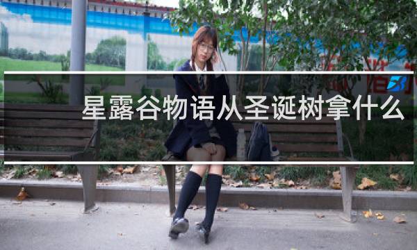 星露谷物语从圣诞树拿什么