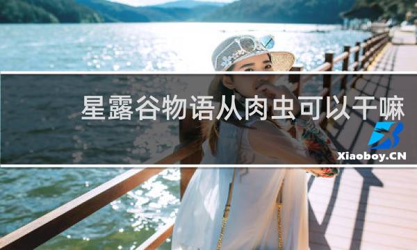 星露谷物语从肉虫可以干嘛