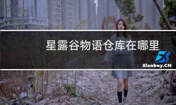 星露谷物语仓库在哪里