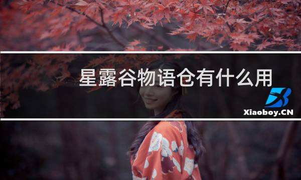 星露谷物语仓有什么用