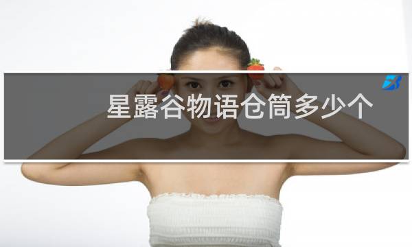 星露谷物语仓筒多少个