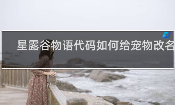 星露谷物语代码如何给宠物改名字