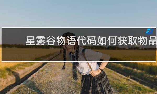 星露谷物语代码如何获取物品