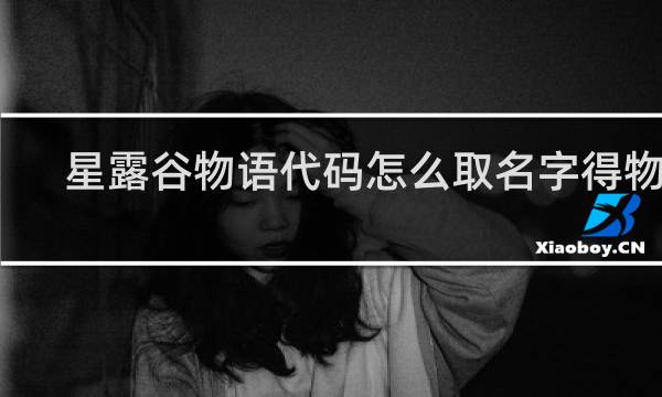 星露谷物语代码怎么取名字得物品