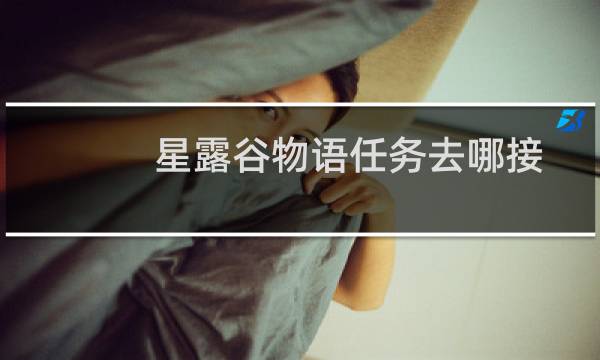 星露谷物语任务去哪接