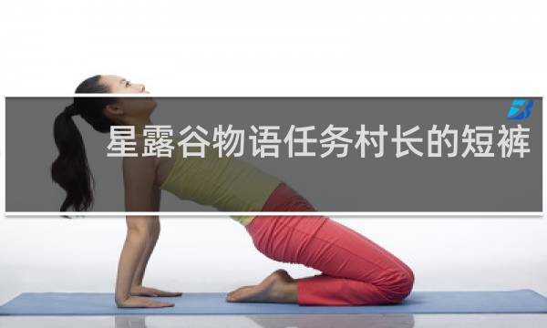 星露谷物语任务村长的短裤