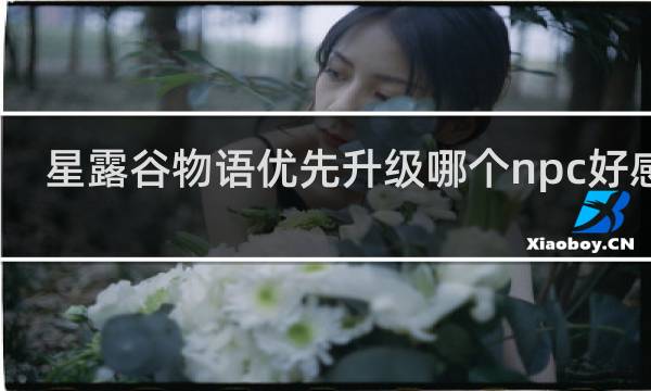 星露谷物语优先升级哪个npc好感度