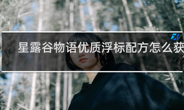 星露谷物语优质浮标配方怎么获得