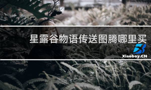 星露谷物语传送图腾哪里买