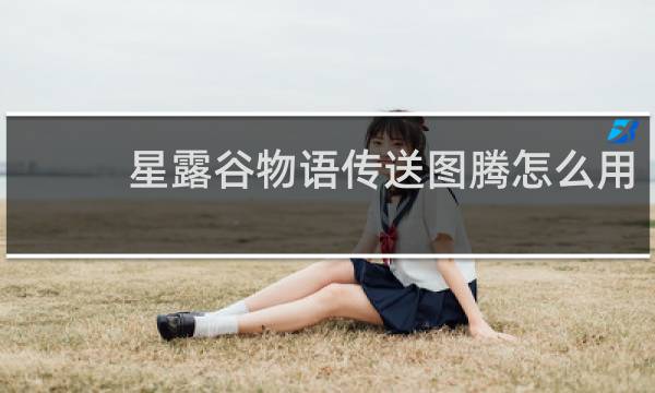 星露谷物语传送图腾怎么用