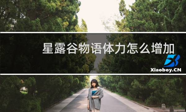 星露谷物语体力怎么增加