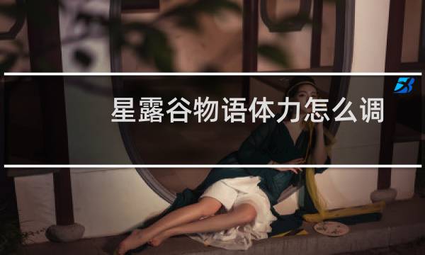 星露谷物语体力怎么调