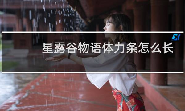 星露谷物语体力条怎么长