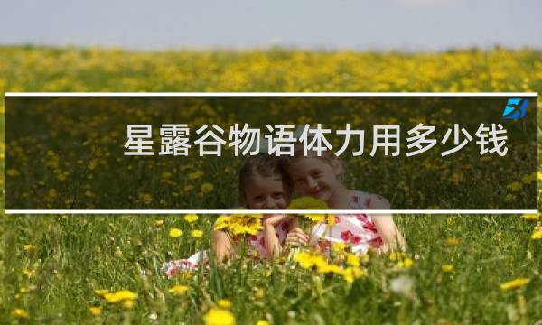 星露谷物语体力用多少钱