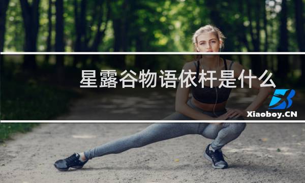 星露谷物语依杆是什么