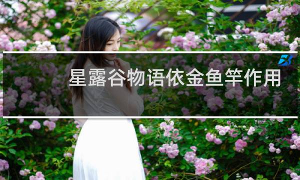 星露谷物语依金鱼竿作用