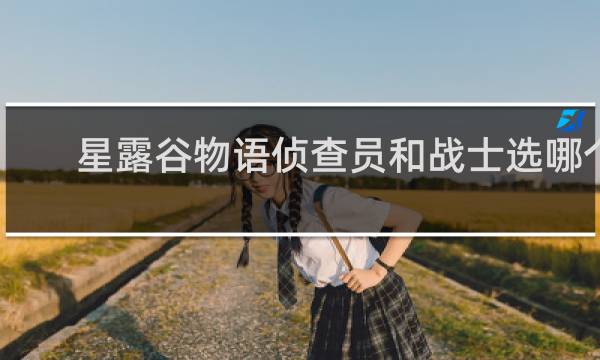 星露谷物语侦查员和战士选哪个