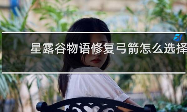 星露谷物语修复弓箭怎么选择