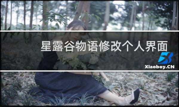 星露谷物语修改个人界面