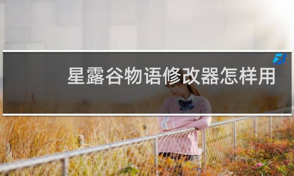 星露谷物语修改器怎样用