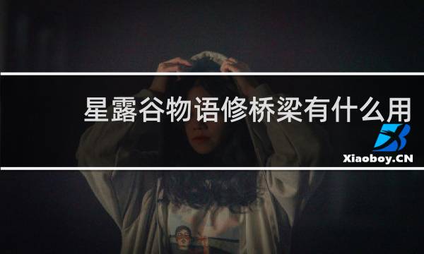 星露谷物语修桥梁有什么用