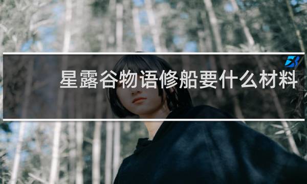 星露谷物语修船要什么材料