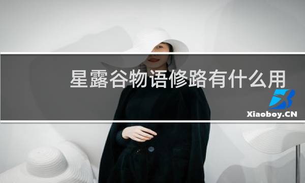 星露谷物语修路有什么用