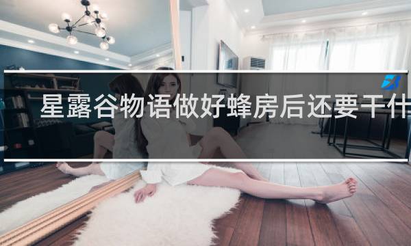 星露谷物语做好蜂房后还要干什么