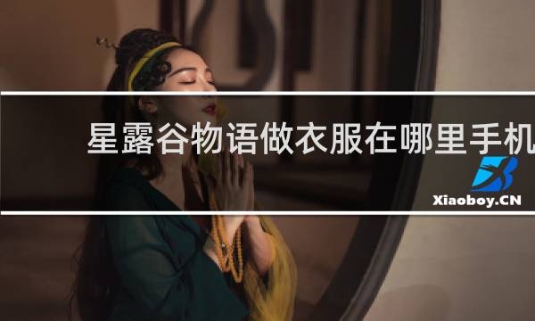 星露谷物语做衣服在哪里手机