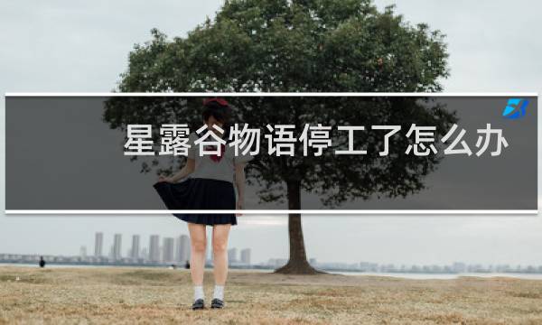 星露谷物语停工了怎么办