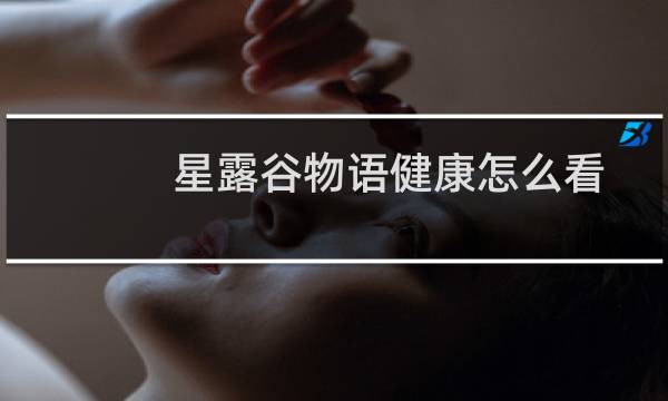 星露谷物语健康怎么看