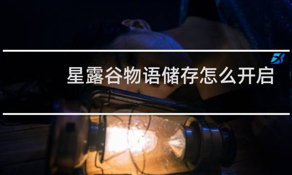 星露谷物语储存怎么开启