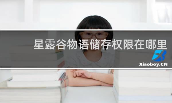 星露谷物语储存权限在哪里