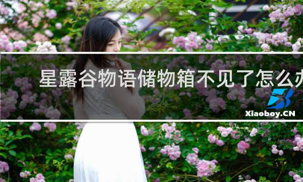 星露谷物语储物箱不见了怎么办