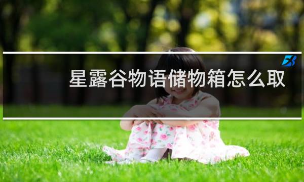 星露谷物语储物箱怎么取