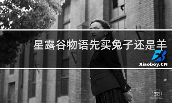 星露谷物语先买兔子还是羊