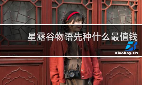 星露谷物语先种什么最值钱