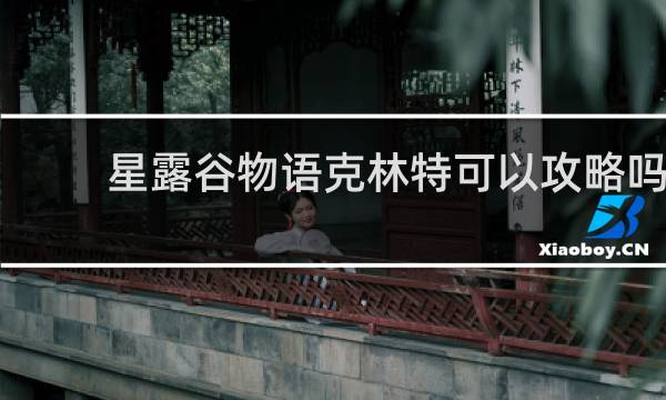 星露谷物语克林特可以攻略吗