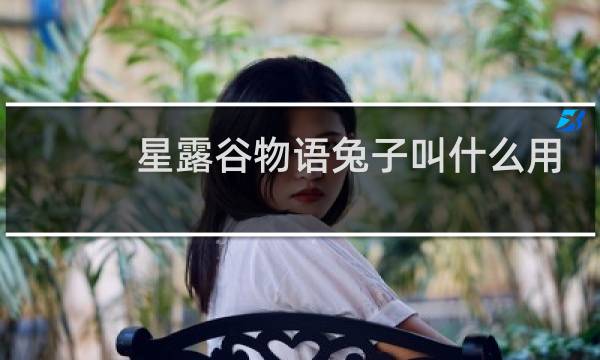 星露谷物语兔子叫什么用