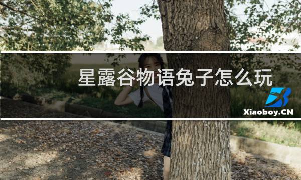 星露谷物语兔子怎么玩