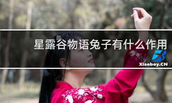 星露谷物语兔子有什么作用