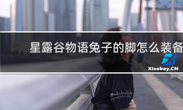 星露谷物语兔子的脚怎么装备